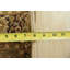 Tapis Rionach