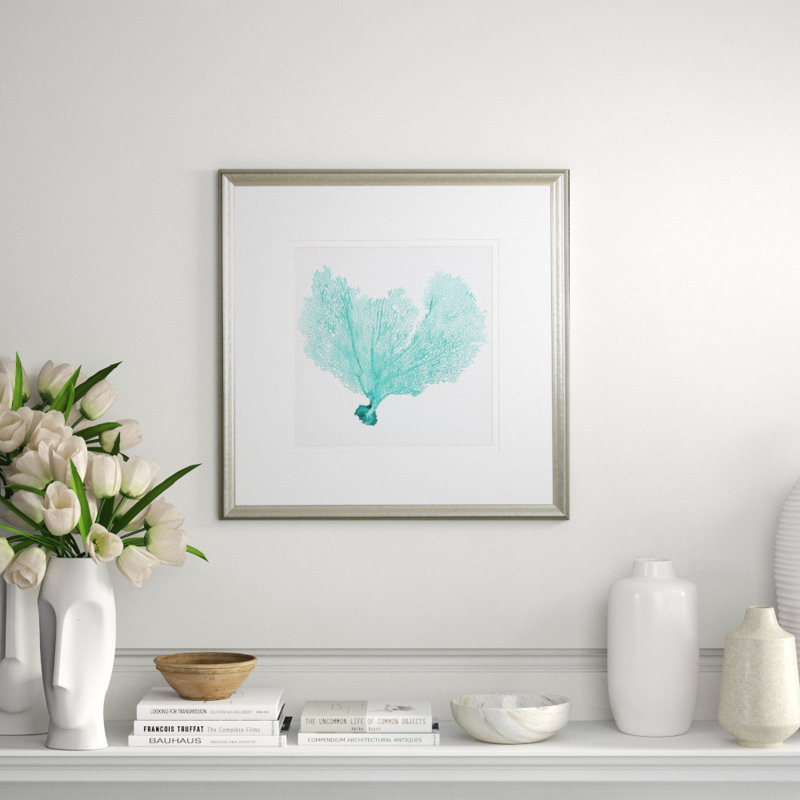 Sea Fan VI Print by Vision