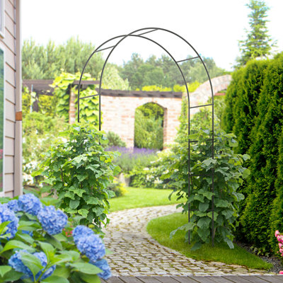 Balfore 140cm W x 40cm D Metal Arbour in Black
