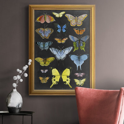 Toile encadrée de qualité graphique avec papillons taxonomiques II - prête à être accrochée