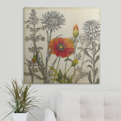 «Doughtry Émergent Poppy», Megan Meagher, reproduction d'art