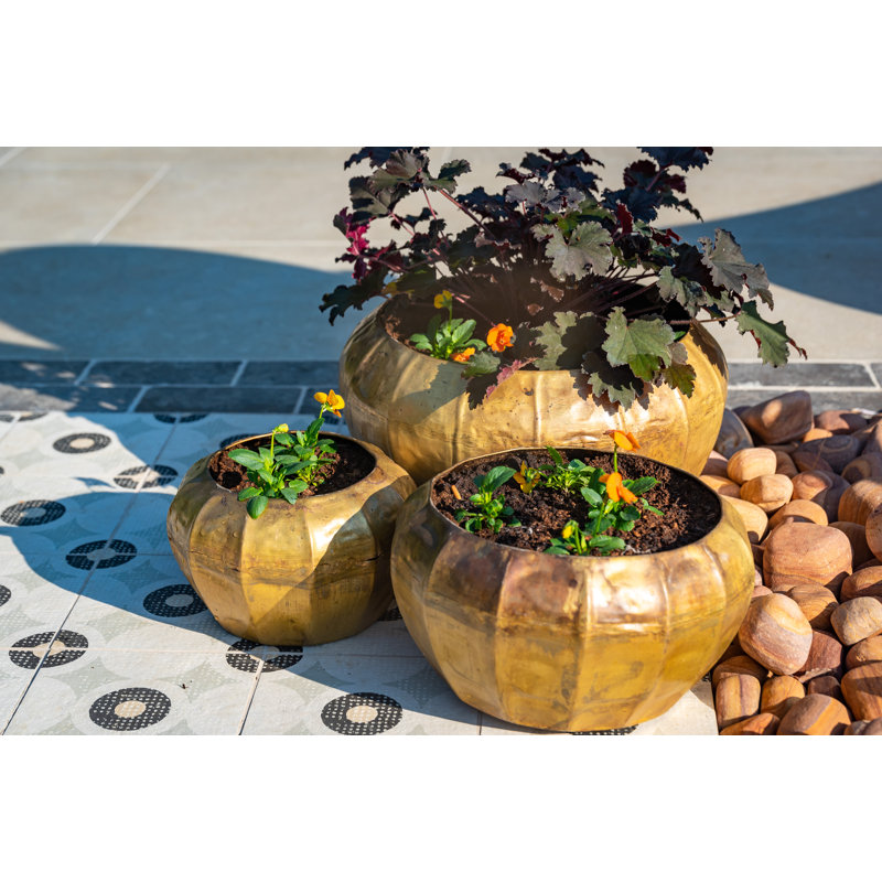 Dorn Metal Pot Planter