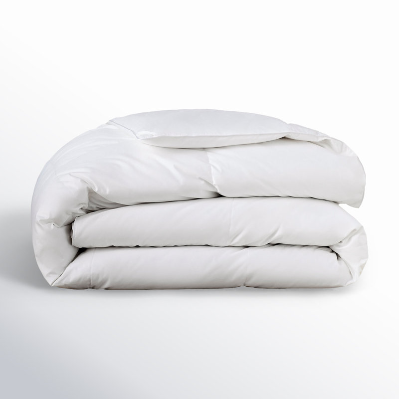 Terron Down Extra Plush Duvet Insert, Full / Queen Down Comforter
