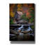 «Glade Creek Grist Mill» par Rick Berk, art mural sur toile-1917934355