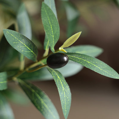 Ashwell 96" Olive Tree in Pot