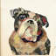 « english bouledogue », impression