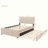 Velvet Upholstered Platform Bed with Trundle-106492948-112511389