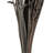 36" Bahia Spears with Seeds, Dried-388033221