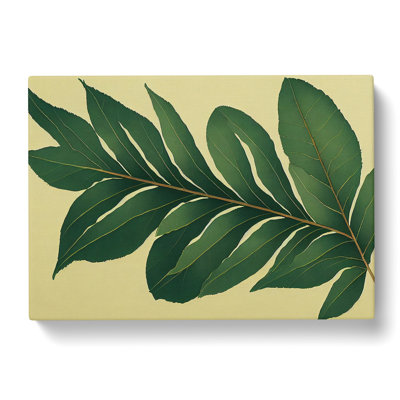 Pretty Leaves Vol.3 - Wrapped Canvas