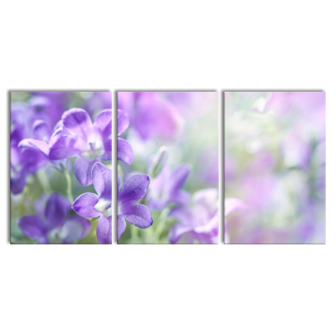 3-tlg. Leinwandbilder-Set Purple Lavender Flowers