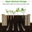 Wood Planter Box