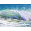 Summer's Splash Print-1047683538