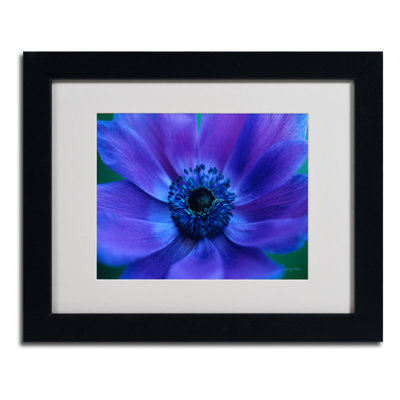Nerses 'Beautiful Anemone' Framed Photographic Print