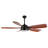 Reanda 57'' Ceiling Fan with LED Lights