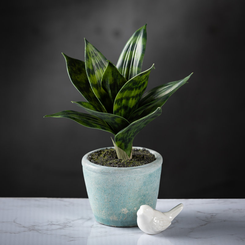 Plante artificielle en pot 6 "Sansevieria