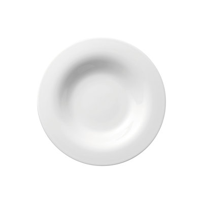 Moon Porcelain Pasta Plate