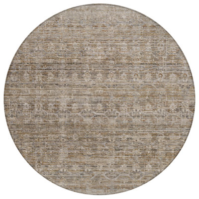 Machine Washable Indoor/Outdoor Xhevrie Brown Rug