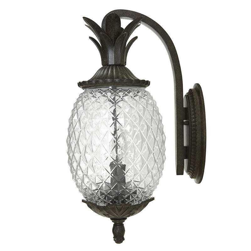 Lanterne murale d'extérieur à 1 ampoule H 18 po Arlesey, CoRail noir