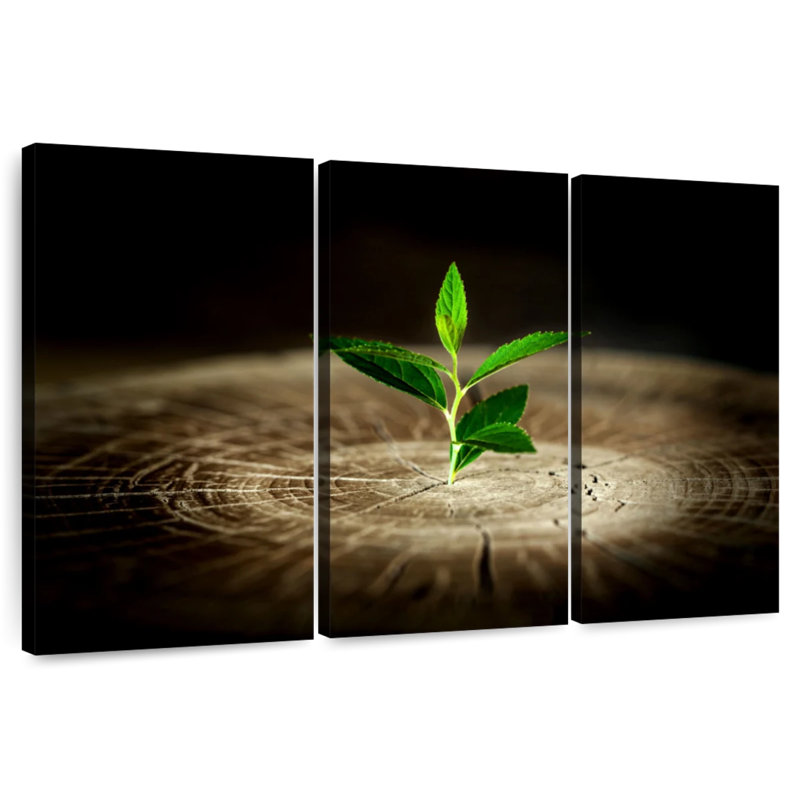Harnek plante sur souche, H 36 po x l 57 po