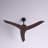 Artisha 50'' Ceiling Fan-684973091
