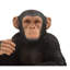 Statue singe assis