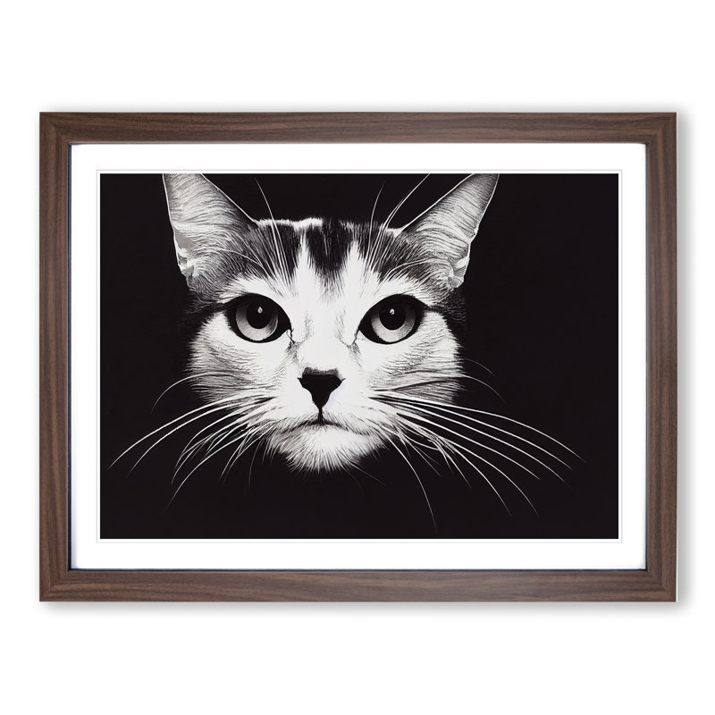 Magical Cat - Single Picture Frame Print, 46cm H x 64cm W x 2cm D, Walnut