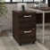 Kaneki 16'' Wide 2 -Drawer Mobile File Cabinet