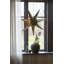 Decorative Accent