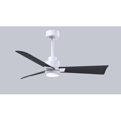 Alessandra - Three Blade Transitional Ceiling Fan -LED