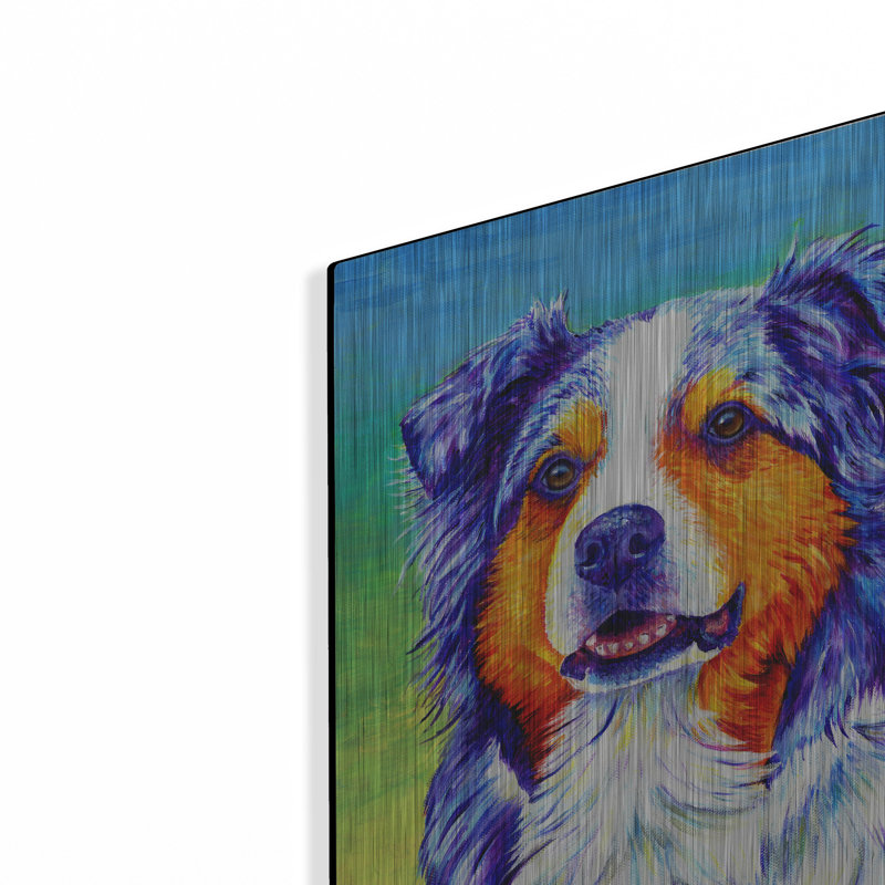 «Blue Merle Australian Shepherd» par Rebecca Wang Art, H 16 po x l 12 po