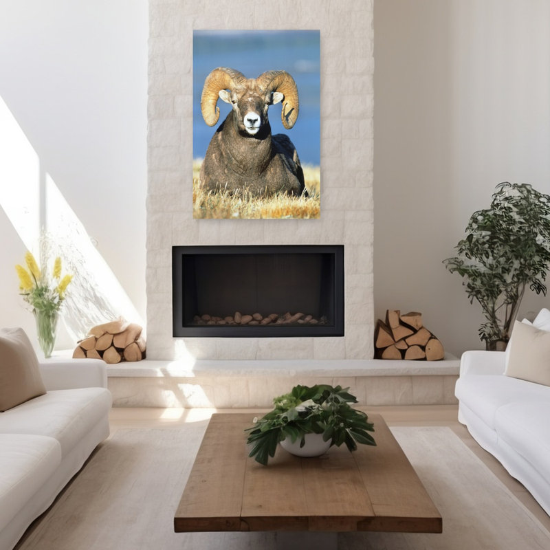 Big Horn Ram Classic Retro Vintage Animal Nature Wall Art, H 48 po x l 32 po