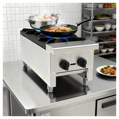 Cuisinière à gaz commerciale avec 2 brûleurs, cuisinière au propane / gaz naturel de 56 000 BTU - Équipement de cuisson commercial en acier inoxydable pour les cuisines de restaurant