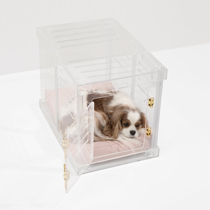 Medium Clear View Pet Crate with Silver Latch, Khaki Cushion, Blush