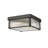 Swati Glass Flush Mount-1667181855-1667181854