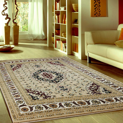 Claudine Oriental Indoor Rug