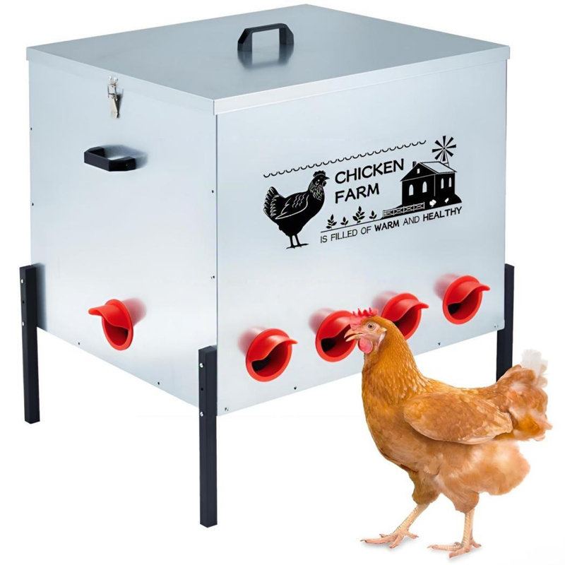 Boîte à nourriture automatique pour poulets