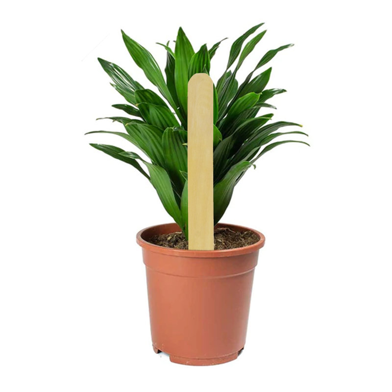 DP Industries Gardening Tools
