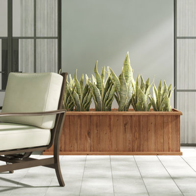 Barros Solid Cedar Rectangular Planter Box with Drainage Holes