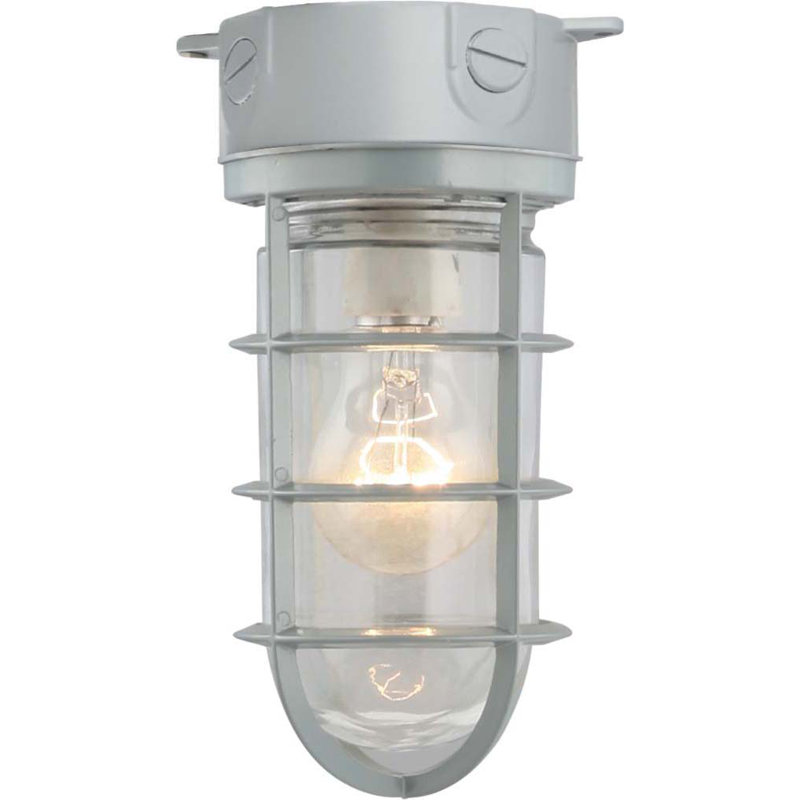 Houser 1-Light Indoor or Outdoor Silver Gray Aluminum Convertible Flush Mount Ceiling Fixture (Wall Mount Sconce) with Clear Glass Rounded Cylindrical Shade