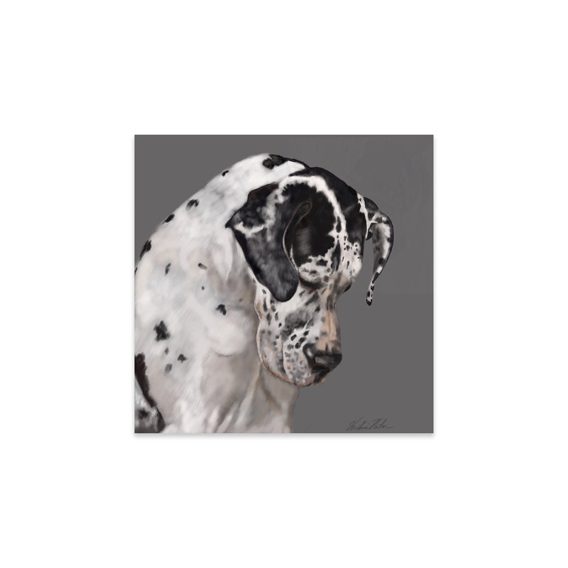 Impression d'un grand danois sur verre acrylique, H 24 po x l 24 po x P 0,25 po