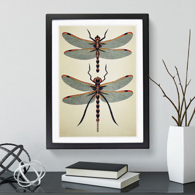 Classic Dragonflies - Wall Art