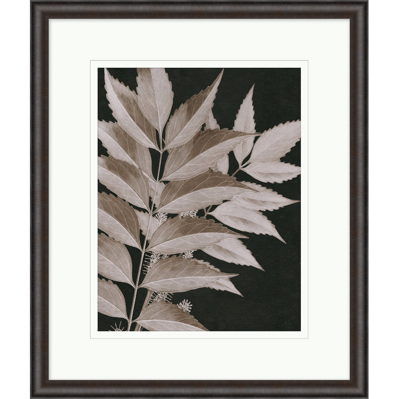 Taupe Foliage 2 Print
