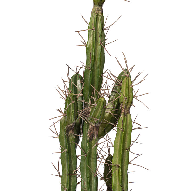 Cactus artificiel vert, pot de fleurs en plastique noir, H 24 po x l 5 po x P 8 po