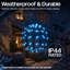 LED Indoor / Outdoor Holiday Lighting-806446646-806446648