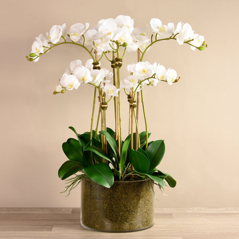 Orchid Floral Arrangement in Vase, White