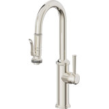 Davoli Kitchen Faucet