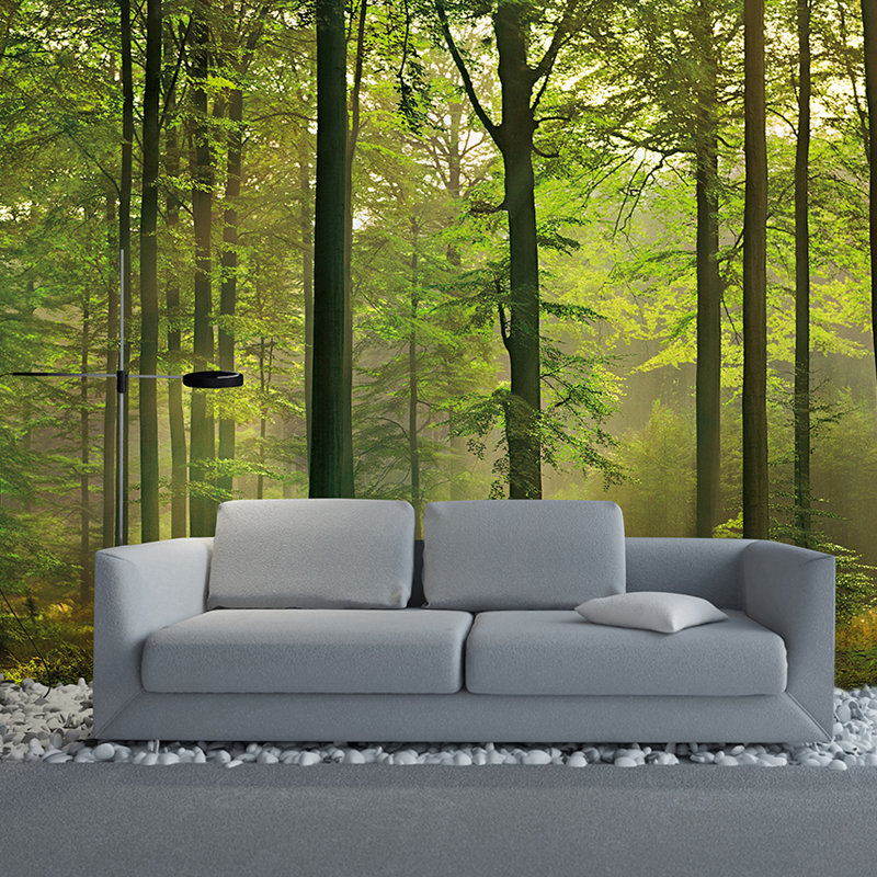 Autumn Forest 2.54m x 366cm Wall Mural