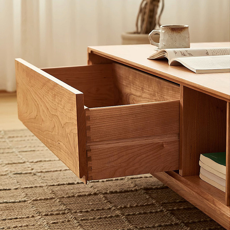 Table basse moderne avec rangement minimaliste, H 16,93 po x L 55,12 po x l 29,53 po