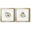 " Old Salt Shell I " 2 - Pieces-2118285762-2126001041-2048829127