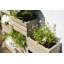 Wood Planter Box